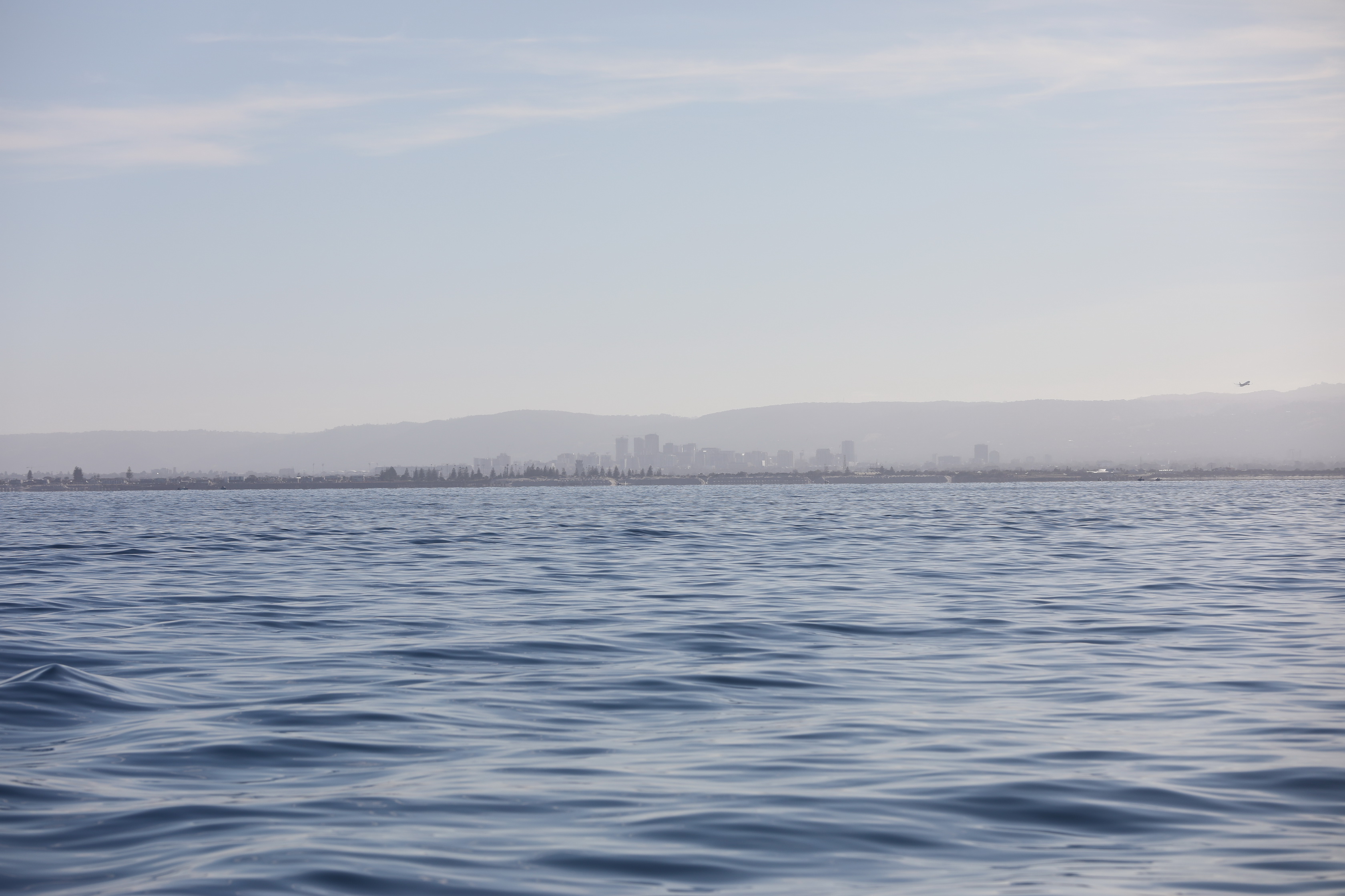 2019 12 07 08 17 34 Canon EOS 5D Mark IV 0004